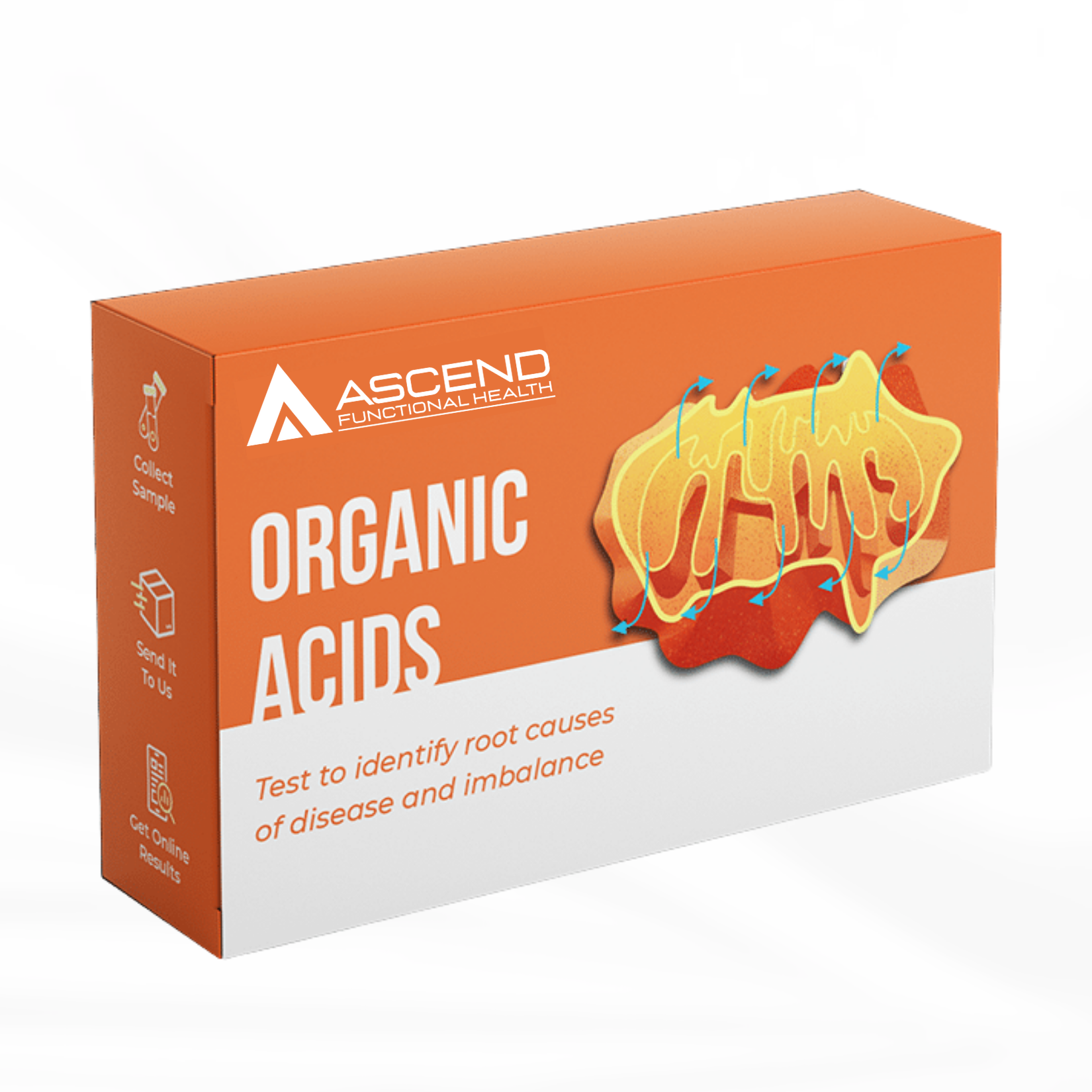 Organic Acids Test (OAT)